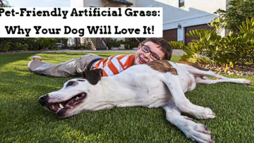 Pet-Friendly Artificial Grass