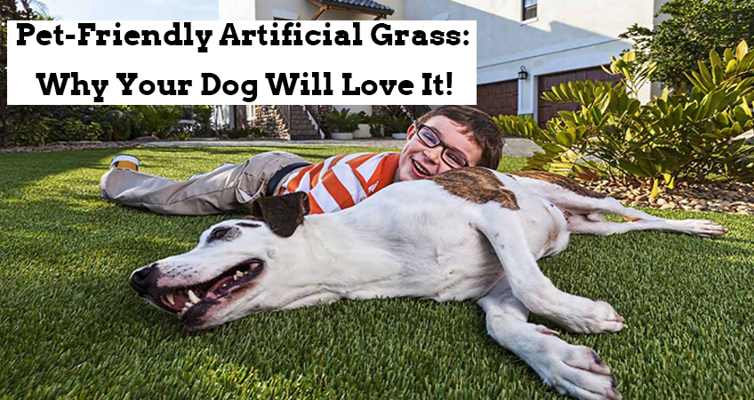 Pet-Friendly Artificial Grass