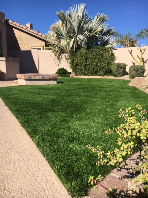 Artificial Grass Cave Creek